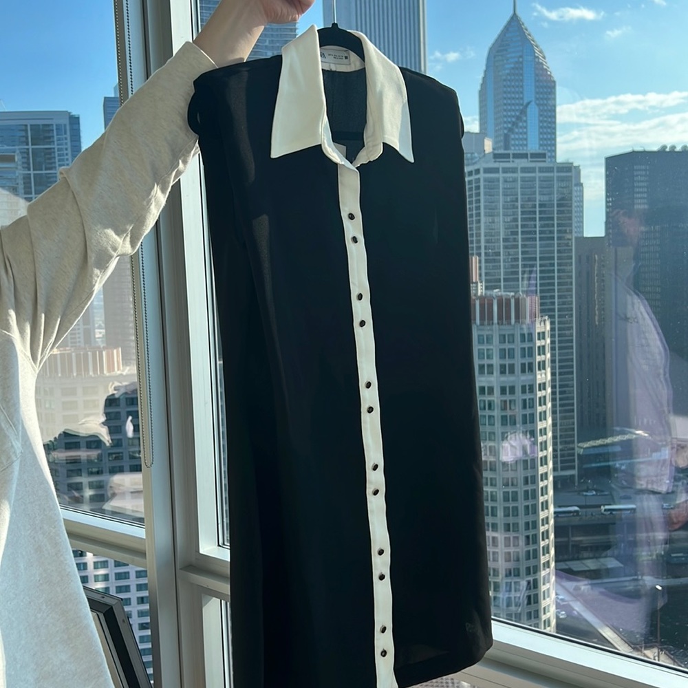 Zara Dress